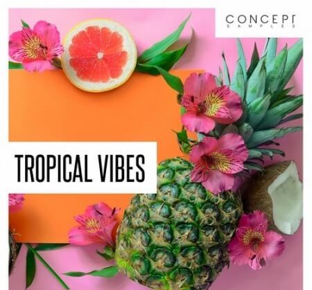 Concept Samples Tropical Vibes WAV